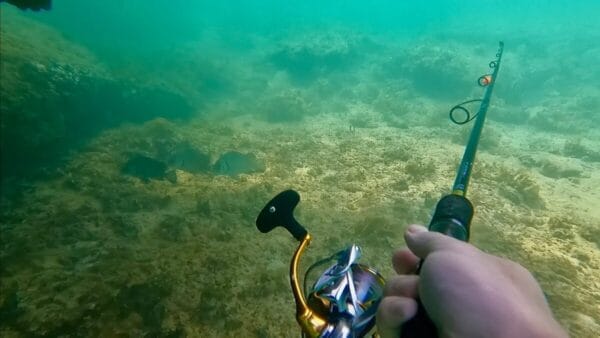 おろちんゆー、海中で釣りに挑戦！寒さに凍えながら岩陰に潜む巨大魚を狙うも…果敢な挑戦にファンからは感謝の声！