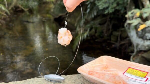 おろちんゆー、沖縄・石垣島で、あの”高級珍味”をGET！とれた食材フル使用の超豪勢な鍋も堪能で、視聴者から嫉妬の嵐