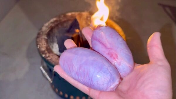 おろちんゆー、山の珍味・イノシシの”睾丸”で焼肉パーティー⁉まさかの絶品判定&詳しい食レポに、「参考になる」の声