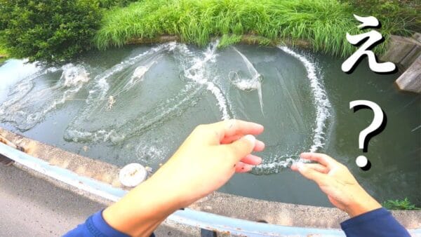 生物系YouTuber・マーシー、30年間見つからなかった”幻の魚”を発見⁉論文掲載の快挙に、視聴者から絶賛の嵐