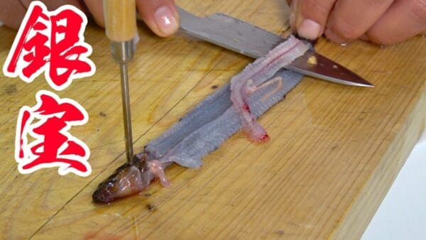 釣りよかでしょう、江戸前天ぷら最高級種を調理！華麗な包丁さばきにギンポマスターが誕生！？ファンも気づくほどの料理上達！