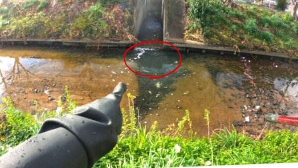 生物系YouTuber・マーシー、琵琶湖に棲みつく外来種を捕らえる！一挙70匹を捕獲で、「生態系が守られた」の声も